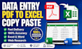 do accurate data entry, excel data entry and PDF conversion