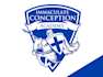 professional school logo design for academies and institutions