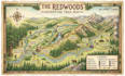 design custom park map for adventure