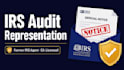provide irs audit representation and tax notice response