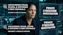 privately do cybercrime investigation
