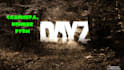 setup a custom dayz server for you