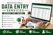 data entry , copy paste