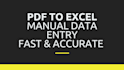 convert PDF to excel with accuracy in 12h delivery
