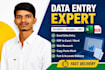 do professional data entry, copy paste, and excel work