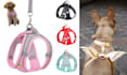 create pet accessories tech pack pet harnesses tech pack design cat dog wears