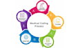 provide accurate medical coding and billing using icd 10 cpt and hcpcs codes