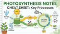 create professional biology notes, mcqs and study materials