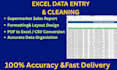 be your expert data entry and virtual assistant