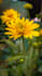 provide nature photography images