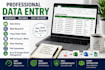 professional data entry web research copy paste services