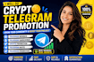 crypto telegram promotion, increase telegram members telegram subscribers