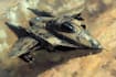 do you sci fi and spaceship design