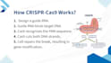 design biology and science presentation slides