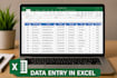 do accurate data entry in excel and tally prime