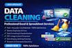 clean, organize and format your excel data with 100 percent accuracy