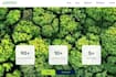 develop production ready full stack apps in react and nodejs
