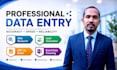 do accurate data entry, excel data cleaning, web research and lead generation