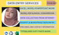 do excel data entry, web research, any admin task as a virtual assistant