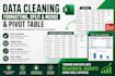 clean, format, and organize excel or CSV data