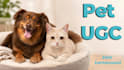 create pet ugc ads