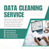 clean, organize, and analyze excel or power bi data