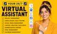 virtual assistant canva expert