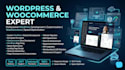design, customize and develop high performance wordpress websites for business