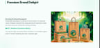 design modern power point presentations