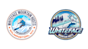 design awesome beautiful skiing logo with express deliver