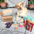 create engaging dog ugc videos for pet brands