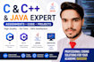 do java oop c c plus plus program projects assignments bug