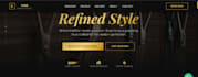 create professional business websites
