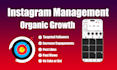 do organic instagram promotion to grow targeted followers