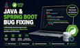 fix bugs in your java and spring boot application