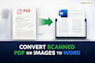 convert scanned PDF or  images into word