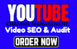 do youtube channel management, be your channel manager
