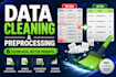 do data cleaning, preprocessing, and dashboard creation