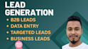 do targeted b2b lead generation and data entry