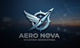 design unique exclusive airplane logo