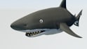 make 3d videos with animation