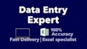 do customer support and data entry excel