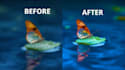 upscale and enhance your digital