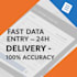 do fast data entry PDF to excel and shopify product upload in 12 hours