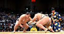 book sumo tournament tickets in japan