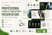 design professional canva and powerpoint presentation