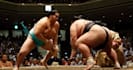 help you buy sumo tickets in japan