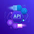 audit optimize and secure your rest apis