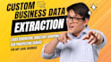 build a custom web automation tool for local business data extraction
