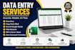 do accurate data entry ,excel data cleaning , copy paste